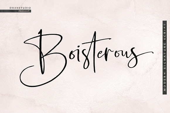 Boisterous Signature Font in Signature Fonts - product preview 23