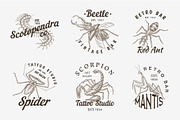 Set of insects logos. Vintage
