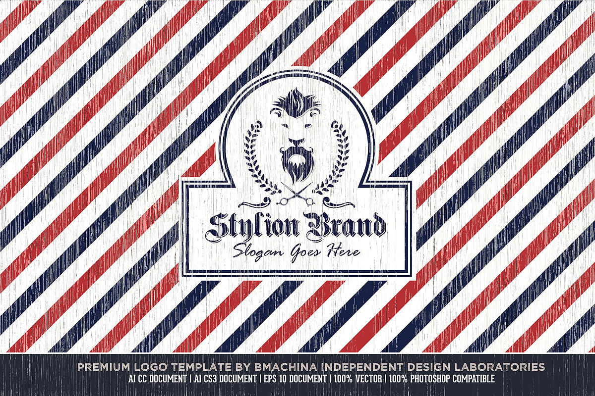 Stylion Brand Logo Template in Logo Templates - product preview 8