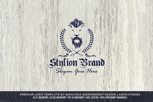 Stylion Brand Logo Template in Logo Templates - product preview 1