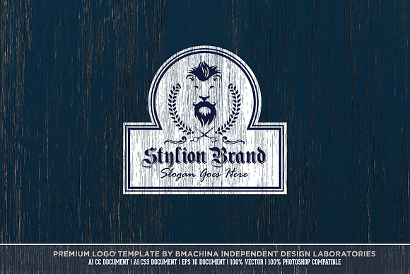 Stylion Brand Logo Template in Logo Templates - product preview 2