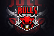 Bulls Sportclub - Macsot &EsportLogo