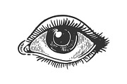 Human eye engraving illustration