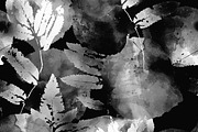 leaves black & white pattern | JPEG