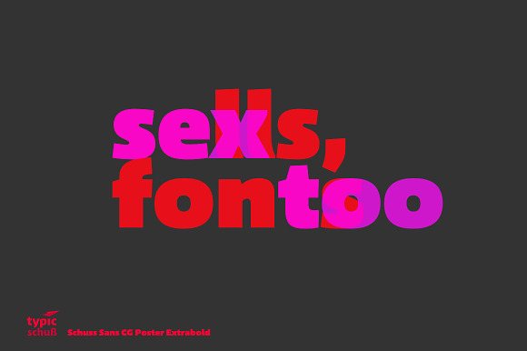 Schuss Sans CG Poster Extrabold in Sans-Serif Fonts - product preview 1