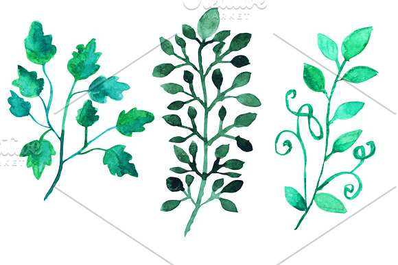 Watercolor Wreath & Green Leaves in Illustrations - product preview 1