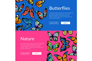 Vector decorative butterflies web