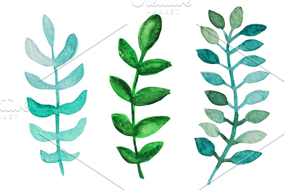 Watercolor Wreath & Green Leaves(1) in Illustrations - product preview 1