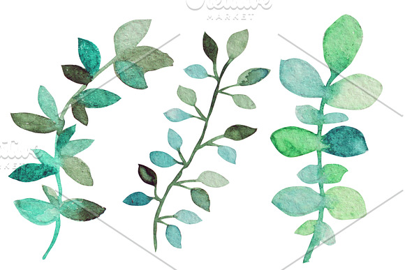 Watercolor Wreath & Green Leaves(2) in Illustrations - product preview 1