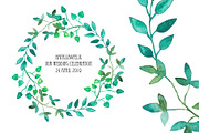 Watercolor Wreath & Green Leaves(3)