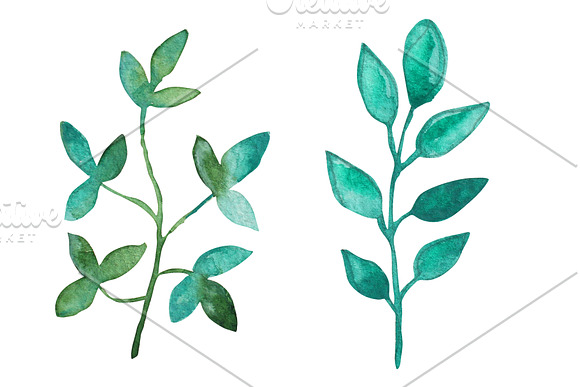 Watercolor Wreath & Green Leaves(3) in Illustrations - product preview 1