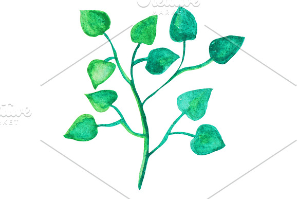 Watercolor Wreath & Green Leaves(3) in Illustrations - product preview 2