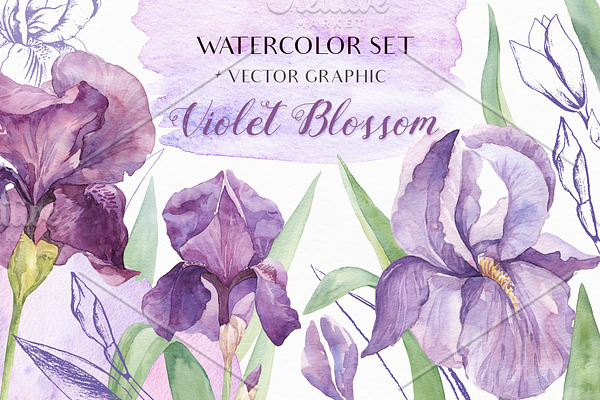 SALE! Watercolor Irises+Vector