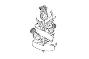 Scottish Thistle With Ribbon Drawing