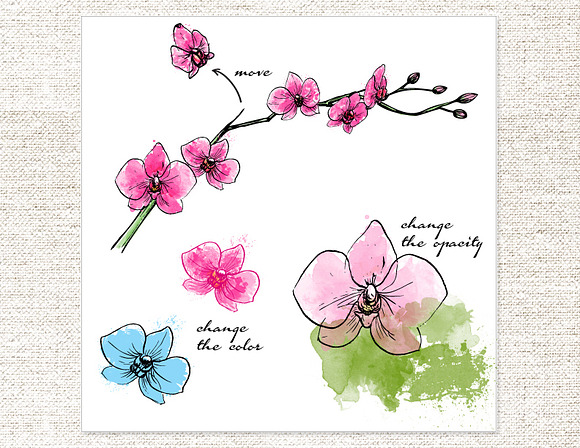 Vector Watercolor Orchid in Illustrations - product preview 3