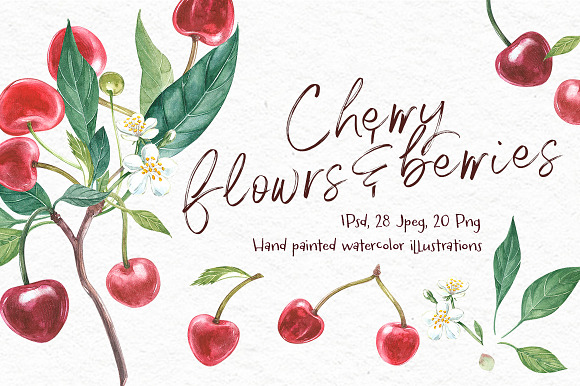 Cherry Graphic & Watercolor clipart in Illustrations - product preview 1
