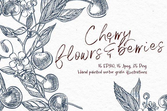 Cherry Graphic & Watercolor clipart in Illustrations - product preview 2