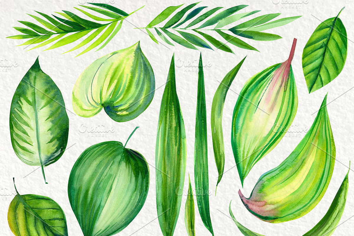 Pink and green tropical leaves. in Illustrations - product preview 8