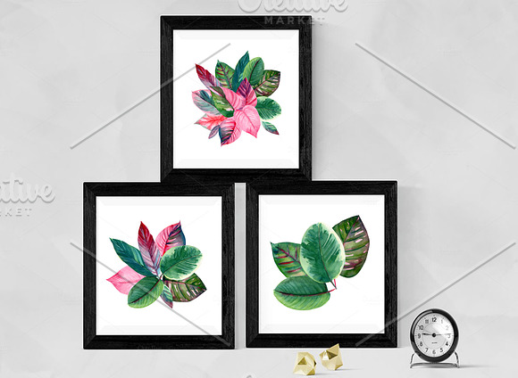Pink and green tropical leaves. in Illustrations - product preview 2