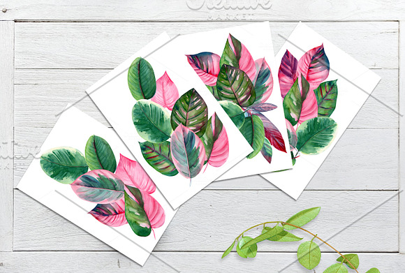 Pink and green tropical leaves. in Illustrations - product preview 3
