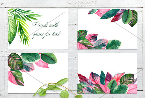 Pink and green tropical leaves. in Illustrations - product preview 4