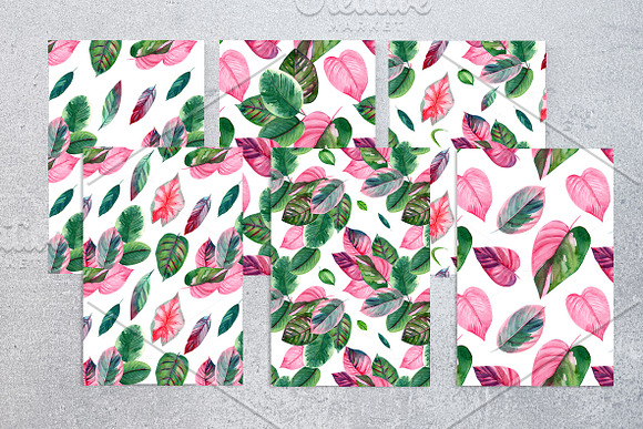 Pink and green tropical leaves. in Illustrations - product preview 5