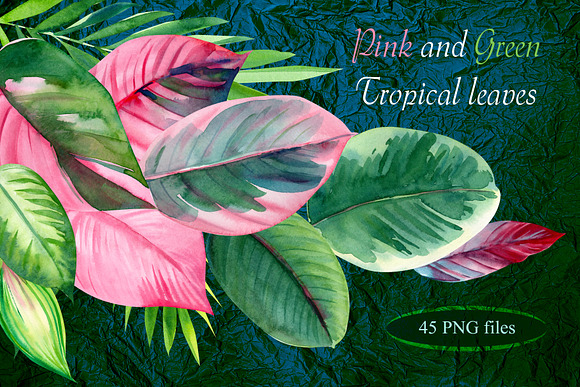 Pink and green tropical leaves. in Illustrations - product preview 7