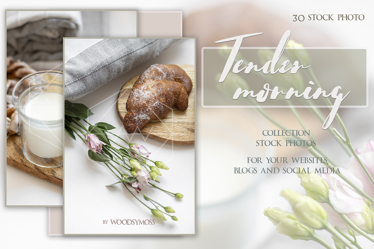 Tender Morning - Stock Photos in Social Media Templates - product preview 8
