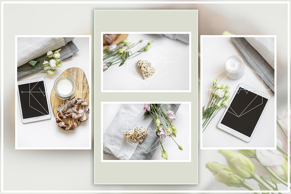 Tender Morning - Stock Photos in Social Media Templates - product preview 4