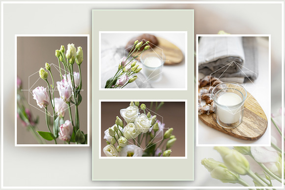Tender Morning - Stock Photos in Social Media Templates - product preview 5
