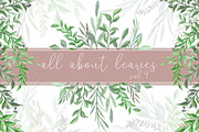 All About Leaves Vol.4