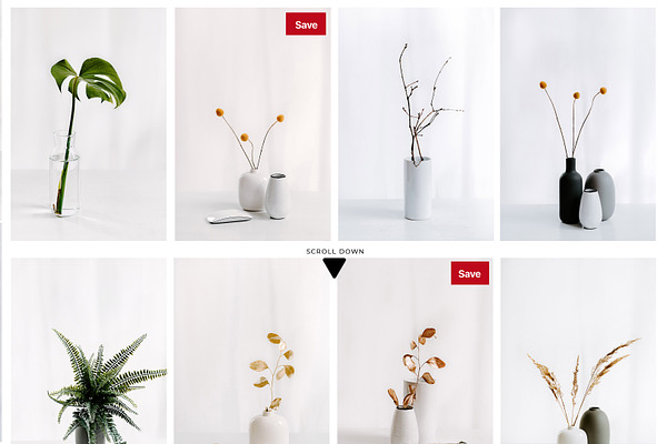PLANT COLLECTION. WHITE.