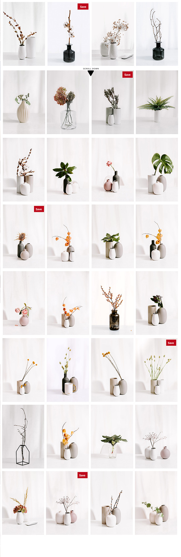 PLANT COLLECTION. WHITE. in Instagram Templates - product preview 1