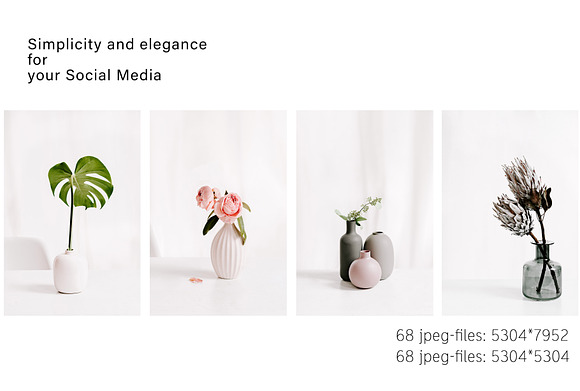 PLANT COLLECTION. WHITE. in Instagram Templates - product preview 2