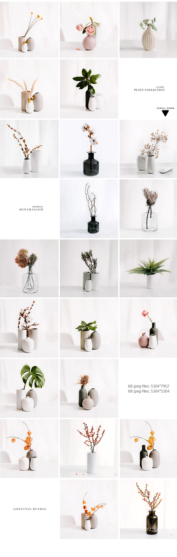 PLANT COLLECTION. WHITE. in Instagram Templates - product preview 3
