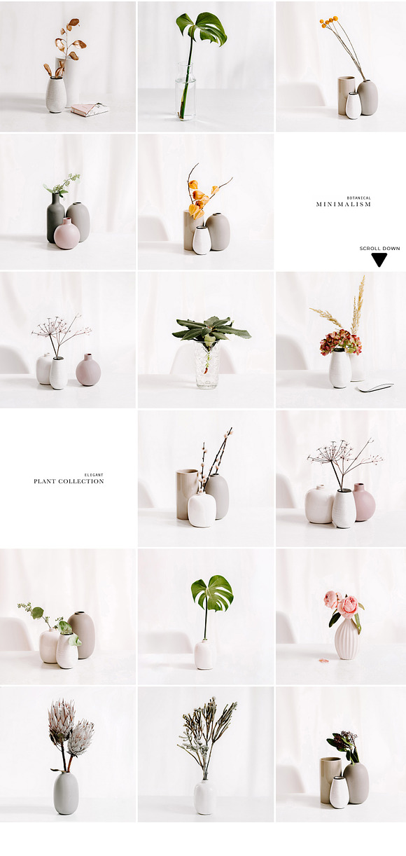 PLANT COLLECTION. WHITE. in Instagram Templates - product preview 4