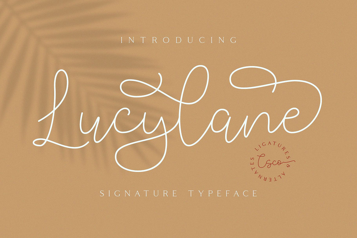 Lucylane - Signature Typeface in Script Fonts - product preview 8