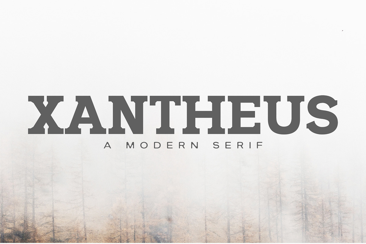 Xantheus Serif Font Family in Serif Fonts - product preview 8