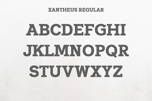 Xantheus Serif Font Family in Serif Fonts - product preview 1