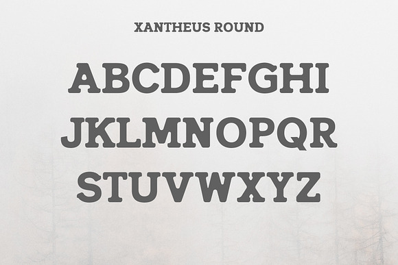 Xantheus Serif Font Family in Serif Fonts - product preview 2