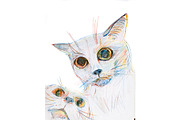 Figure cats with colored pencils