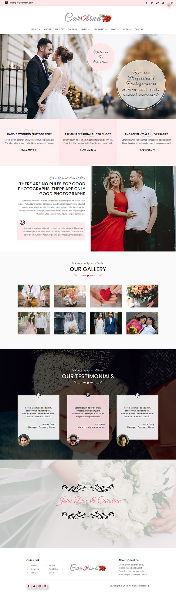 Carolina - Divi Child Theme in WordPress Business Themes - product preview 1