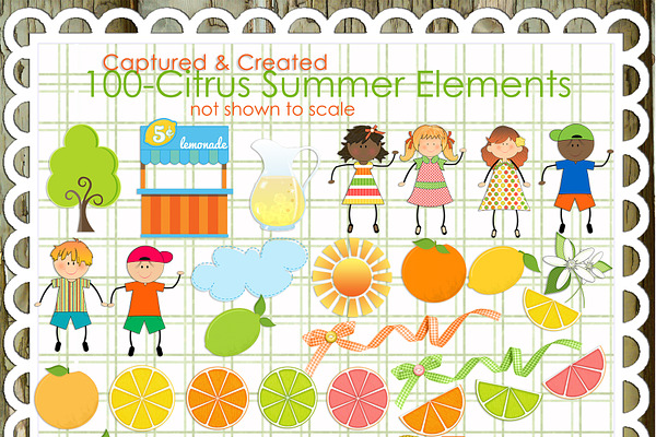 100 Citrus Summer Elements/Clipart