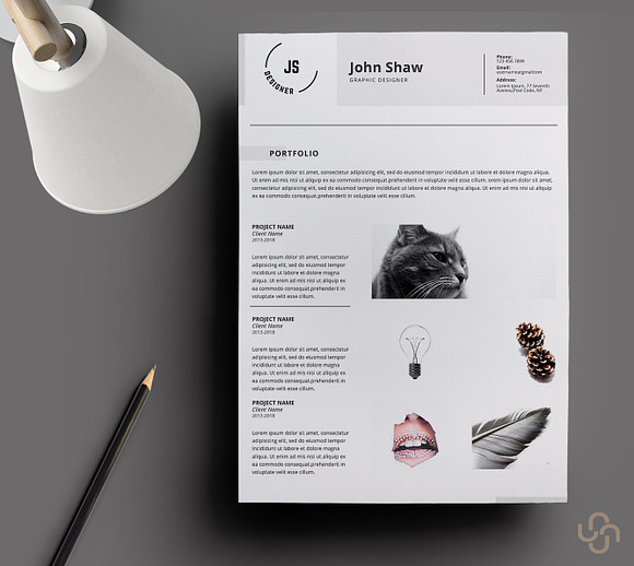 Bellatrix Resume Template in Resume Templates - product preview 3