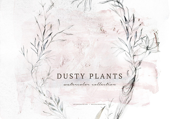 Watercolor Dusty Plants