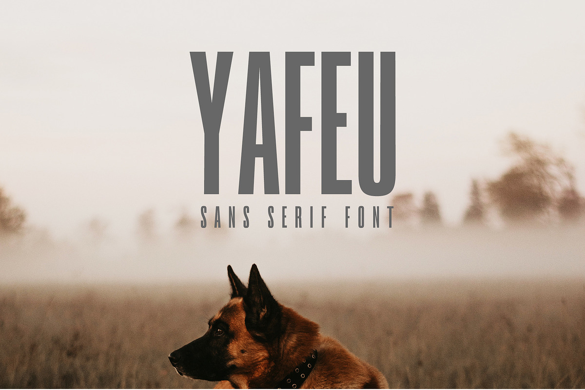 Yafeu Sans Serif Font Family in Professional Fonts - product preview 8