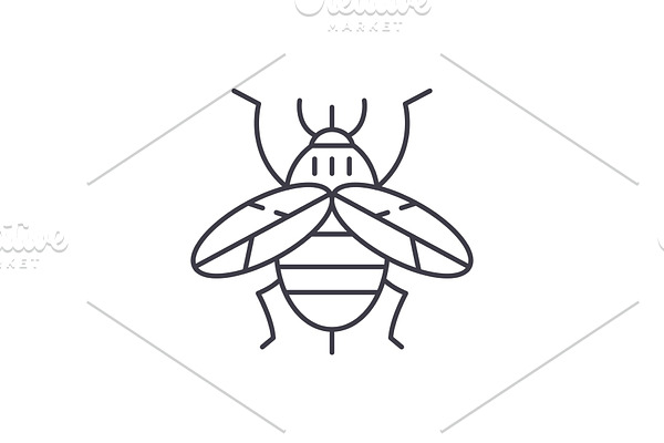 Bee line icon concept. Bee vector