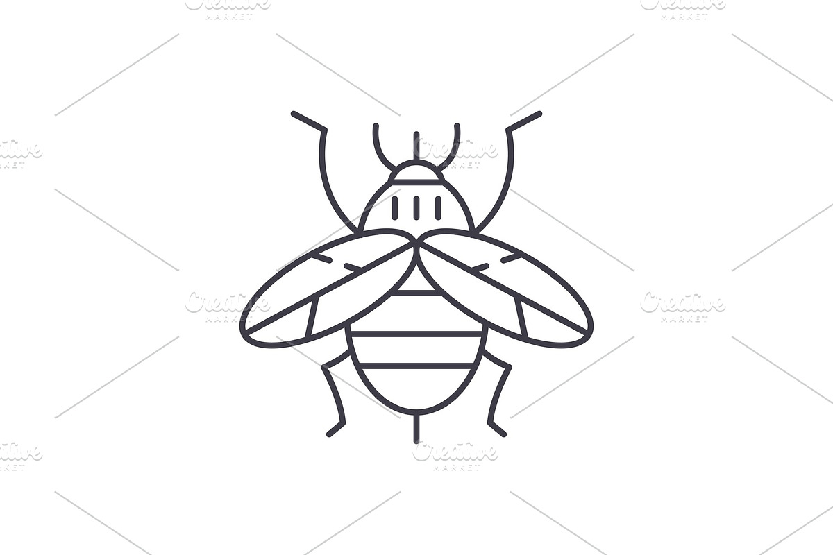 Bee line icon concept. Bee vector in Illustrations - product preview 8