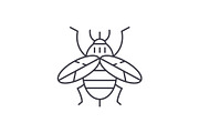Bee line icon concept. Bee vector