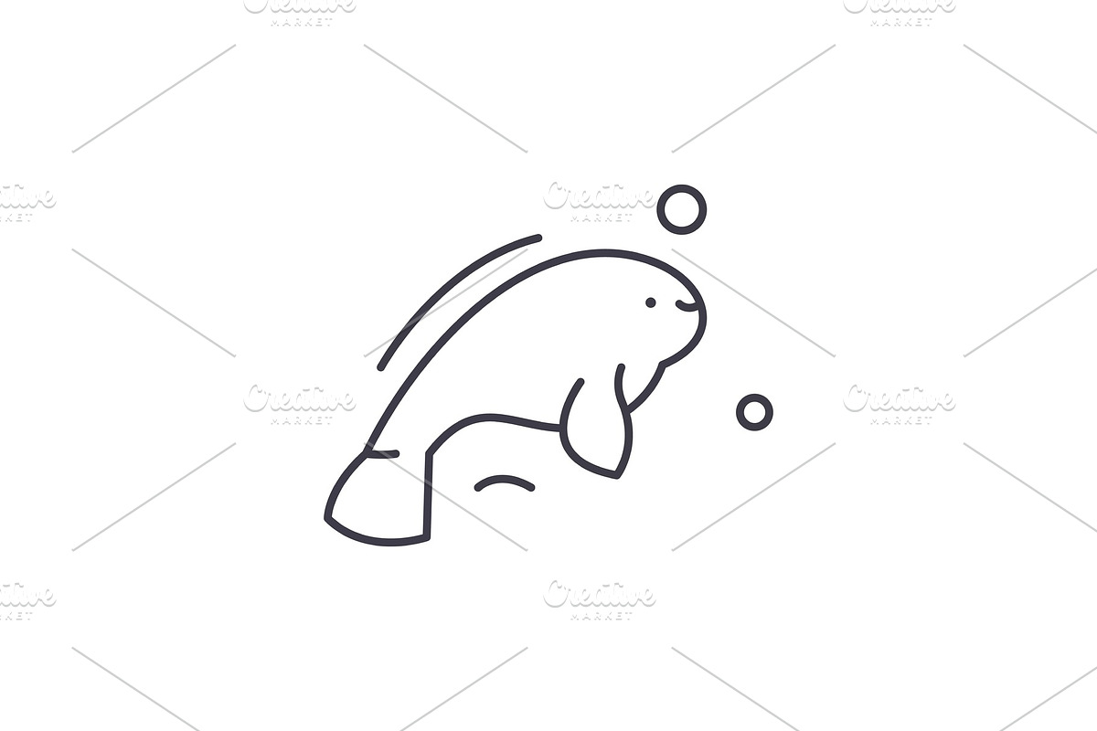 Beluga line icon concept. Beluga in Illustrations - product preview 8